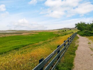 Maison de vacances Sønderho Sogn  11