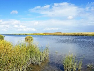 Ferienhaus Sønderho Sogn  26