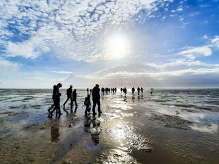 Maison de vacances Sønderho Sogn  16