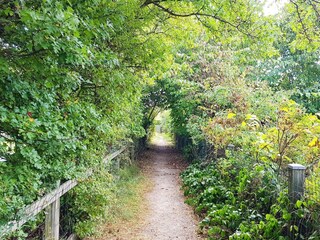 Casa per le vacanze Sønderho Sogn  31