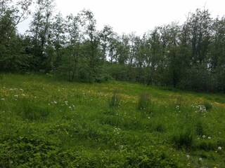 Casa per le vacanze Frederikshavn  14