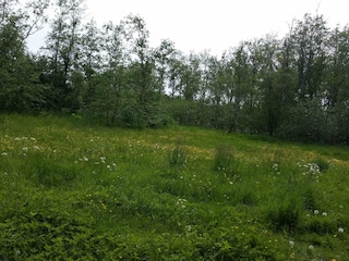 Maison de vacances Frederikshavn  14