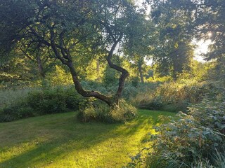 Vakantiehuis Frederikshavn  16