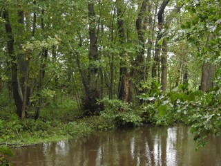 Vakantiehuis Frederikshavn  32