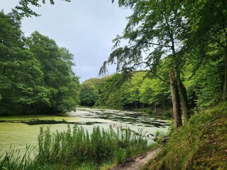 Casa per le vacanze Frederikshavn  40