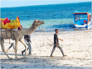 Appartamento per vacanze Mombasa Ambiente 12