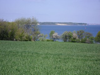 Casa de vacaciones Quern Entorno 37