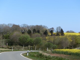 Casa per le vacanze Quern Ambiente 40