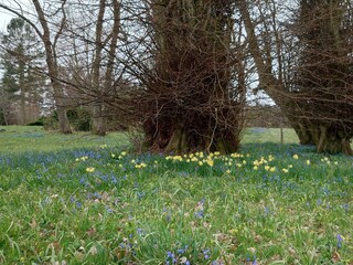 Casa per le vacanze Fjellerup Strand  28