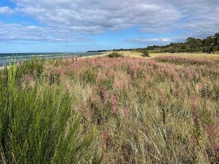 Casa de vacaciones Fjellerup Strand  22
