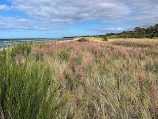 Vakantiehuis Fjellerup Strand  22