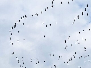 Ferienhaus Gedser Außenaufnahme 2