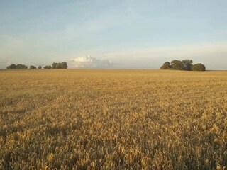 Casa per le vacanze Gedser  33