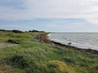 Holiday house Gedser  16