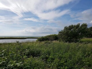 Vakantiehuis Gedser  36