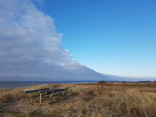 Ferienhaus Gedser  37