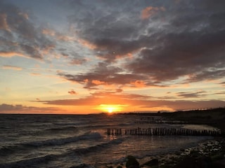 Ferienhaus Gedser  55