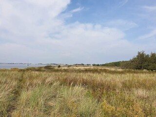 Maison de vacances Gedser  55