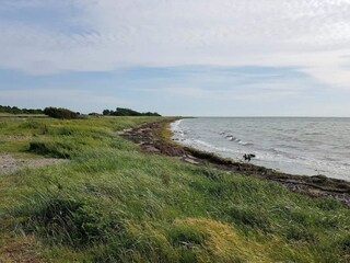 Casa per le vacanze Gedser  20