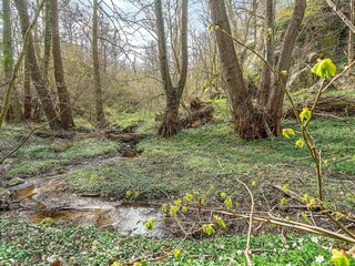 Vakantiehuis Allinge Buitenaudio-opname 2