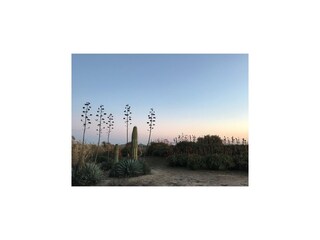 Vakantiehuis Vera Playa Omgeving 30