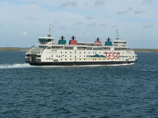 Parc de vacances De Cocksdorp Environnement 18