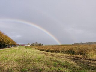 Vakantiepark De Cocksdorp Omgeving 27