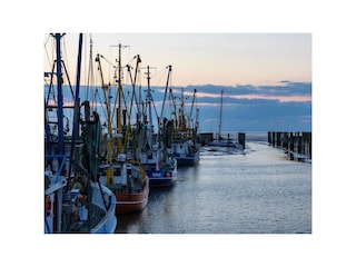 Kutterhafen