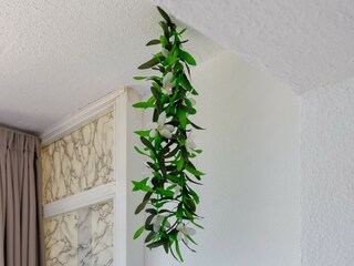 Apartamento Benalmadena Características 23