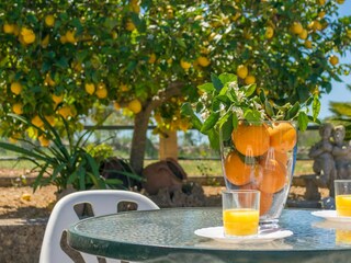 Finca Llubi Grabación al aire libre 4