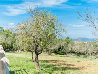 Finca Llubi Grabación al aire libre 6