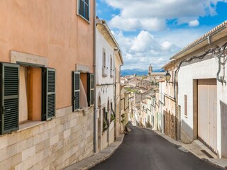 Finca Llubi Entorno 28