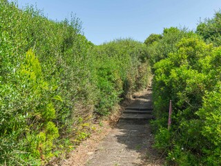 Apartamento Cala en Blanes Entorno 28