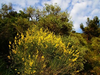 Casa per le vacanze Villa Faraldi Ambiente 22