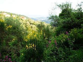 Casa per le vacanze Villa Faraldi Ambiente 23