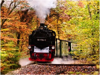 Apartamento Göhren Entorno 14