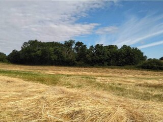 Vakantiehuis Rønde  18