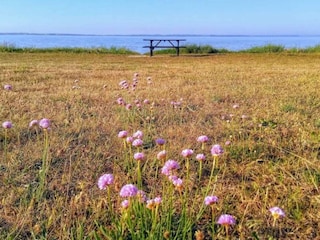 Vakantiehuis Rønde  11