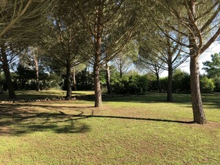 Appartamento per vacanze Massa Marittima Registrazione all'aperto 11