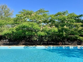 Appartamento per vacanze Massa Marittima Registrazione all'aperto 14