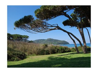 Appartamento per vacanze Massa Marittima Ambiente 35