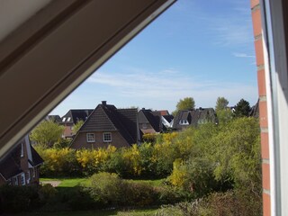 Ausblick