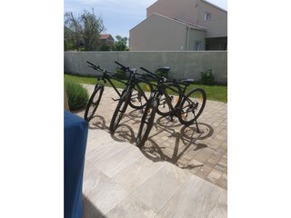 Villa Brtonigla Buitenaudio-opname 13