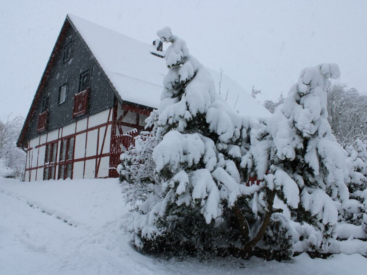 Harz mit Herz im Winter