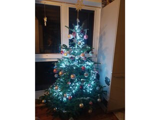 Weihnachten 2025: Durch Storno wieder verfügbar