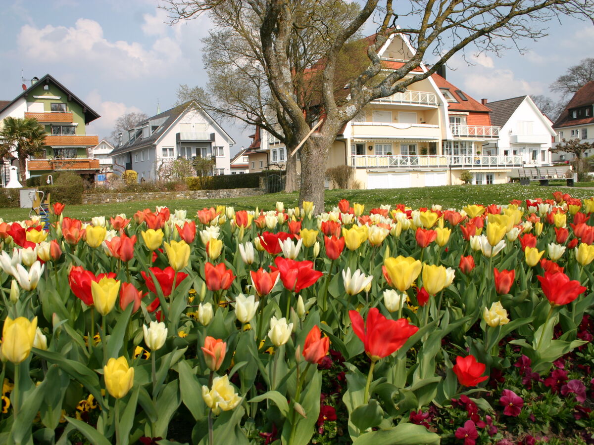 Frühling am Bodensee