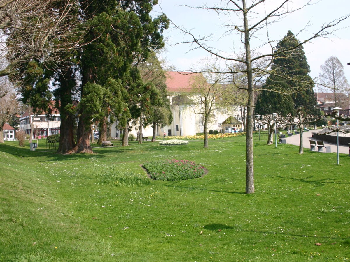 Frühling am Bodensee