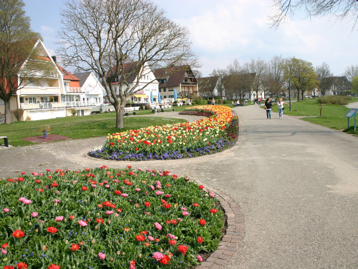 Frühling am Bodensee