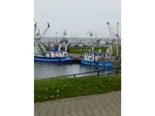 Hafen Dornumer-Accumersiel