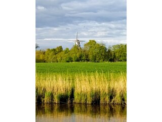 Blick auf die Mühle